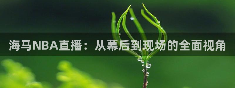 蓝鲸直播平台下载：海马NBA直播：从幕后到现场的全面视角