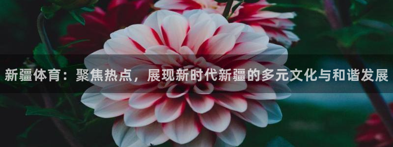 蓝鲸fm直播：新疆体育：聚焦热点，展现新时代新疆的多元文化与和谐发展