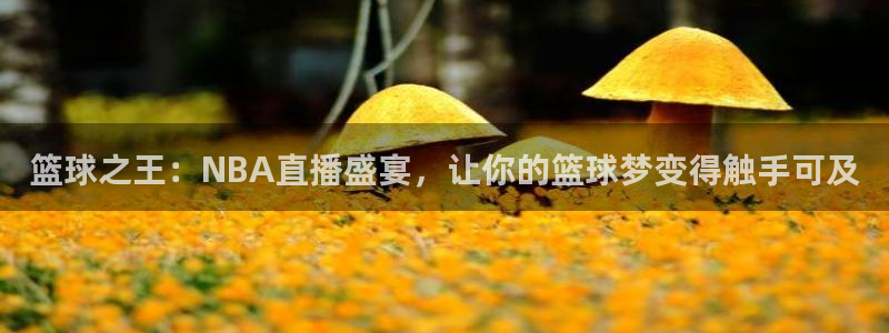 蓝鲸体育直播免费观看：篮球之王：NBA直播盛宴，让你的篮球梦变得触手可及
