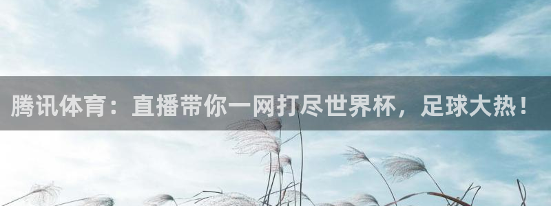 nba蓝鲸直播：腾讯体育：直播带你一网打尽世界杯，足球大热！