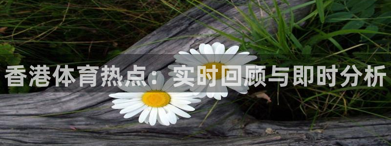 蓝鲸体育高清直播官网入口：香港体育热点：实时回顾与即时分析